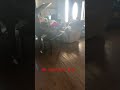 All moms do this #funny #memes #comedy #lifeisbutadream #shorts #short #shortvideo #viral #puppy
