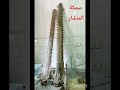 سمكة المنشار من حديقة الأسماك بالزمالك