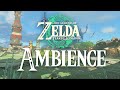 Zelda Tears Of The Kingdom Lookout Landing Relaxing Ambience Sounds ASMR