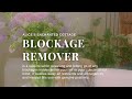 ｡⊹ Blockage Remover:  time to let go of limiting beliefs!｡·˚🌱