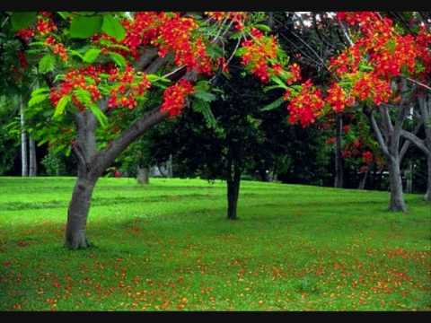 Oru Naal Subha Ratri nernu   Gulmohar