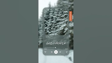سورة المعارج / بصوت الشيخ ياسر الدوسري #القرآن_الكريم #ياسر_الدوسري اكتب شيء تؤجر عليه/ راحة نفسية