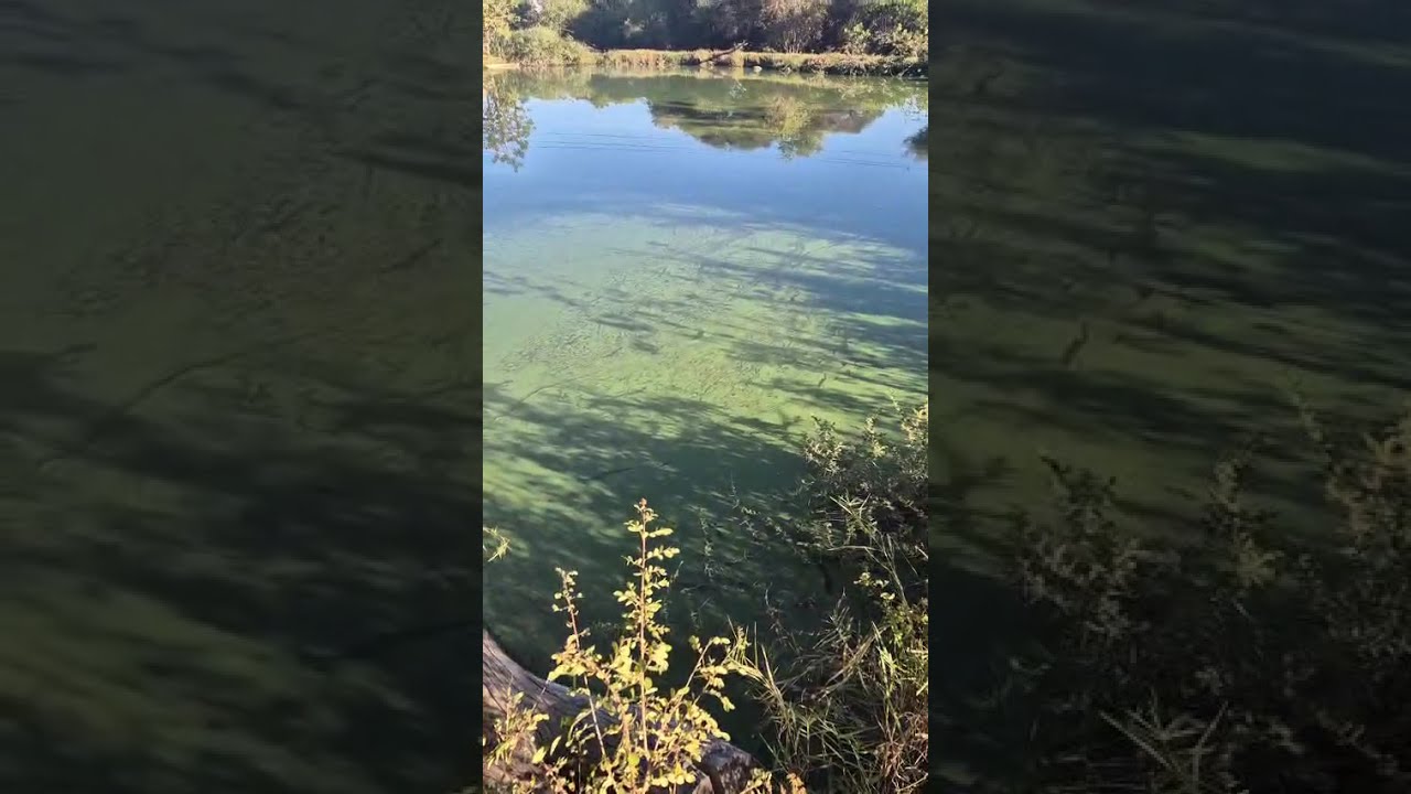 LIMPOPO RIVER POLUTION 20250713