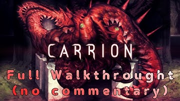 Carrion - Full Gameplay Walkthrough (no commentary) PC