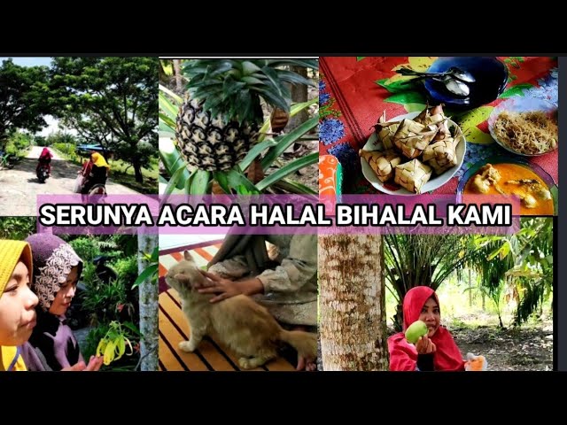 KESERUAN SAFNA SANIA ACARA HALAL BIHALAL class=