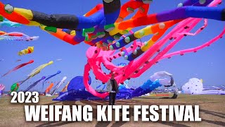 China's Weifang Kite Festival 2023 潍坊什么都能上天？