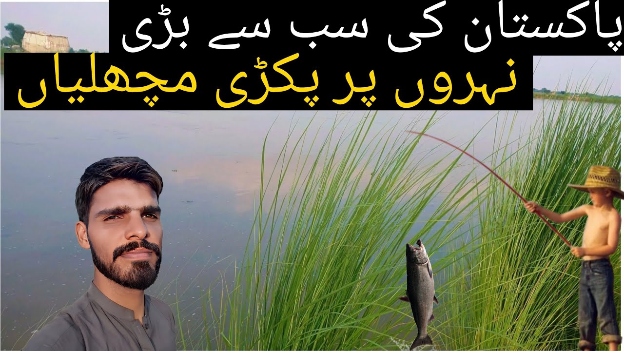 Village fishing vlog | Fishing on pakistan  biggest canals | Fishing  vlog | 