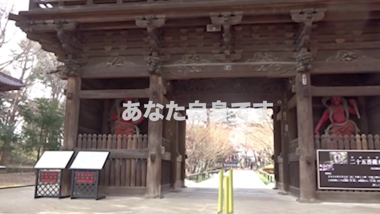 小林 克也＆ザ・ナンバーワン・バンド | 鯛 ～最後の晩餐～ | スピード