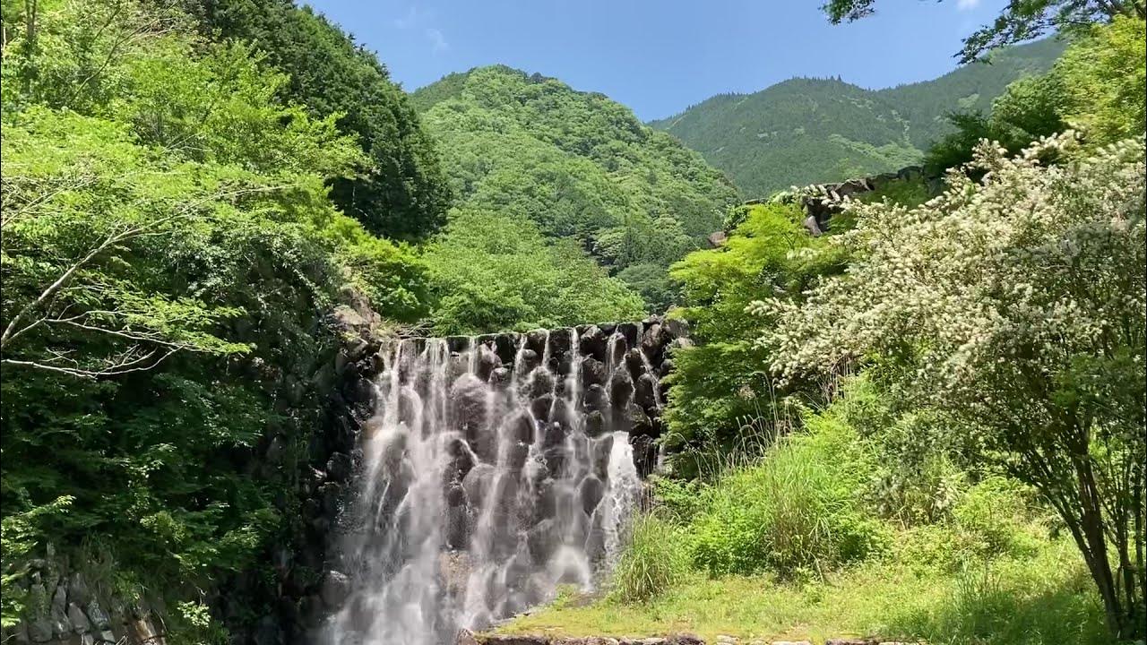 つつじ の 里 荒滝