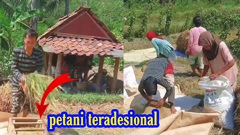 Suasana Petani Tradesional KEMBENG Wadas Gumantung  Tonjong-Brebes