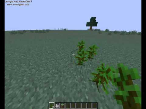 Video: Kako Uzgajati Drvo U Minecraft-u