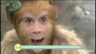 Journey to the West 1: The Birth of Sun Wukong, Who Sends a Signal to the Jade Emperor
