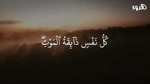 الآية مرعبة جدا 💔 حالات واتس اب قران كريم / مقاطع قران قصيرة 🌿 خواطر قرانية
