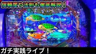 海物語をパチンコ屋さんから生配信！大海4から沖桜に移動予定！