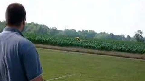 Blade CP inverted hover