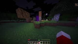 2 Idiots try speed running minecraft