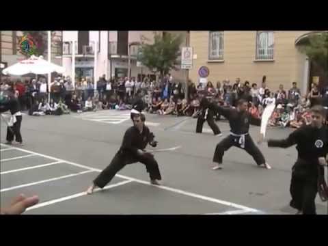 VIET VO DAO -  A.s.d.  Hoa Lù Moc - youtube
