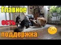 Экономим на еде//Сгоняю жир..кто со мной?//Ушла из TikTok// Очень вкусный обед👍