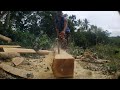 Best wood every miller wants to mill// Simpliest freehand chainsaw milling// woodworking in Gmilina