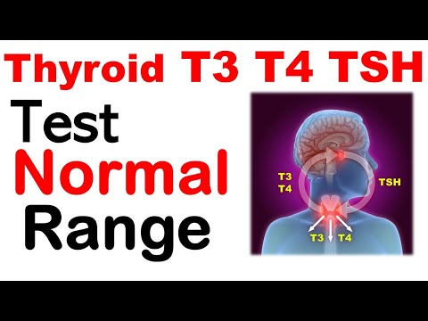 Thyroid t3 t4 tsh normal values | Thyroid test normal range