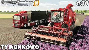 Selling & buying horses, new vehicles, harvesting red cabbage | Tymonkowo | FS 19 | Timelapse #30