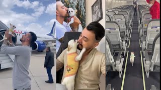 Murat noyan best compilation/Murat noyan dog /Murat noyan dog/Murat noyan puppy by Daily dose of dogs 50,283 views 1 year ago 1 minute, 9 seconds