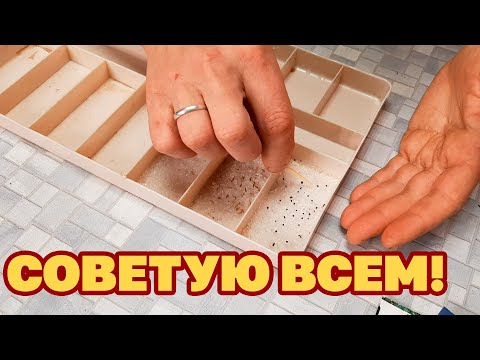 СЕМЕНА НА СЛЕДУЮЩИЙ ДЕНЬ НАКЛЮНУЛИСЬ/ ЗАМЕНИЛА БУМАГУ ОТКАЗАЛАСЬ ОТ ВАТНЫХ ДИСКОВ