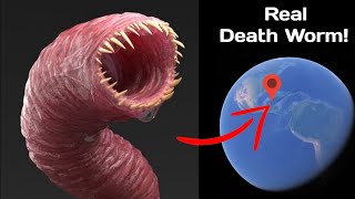 Death Worm In Real Life on Google Earth screenshot 5