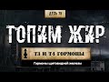 Жиросжигатели. Тироксин и Трийодтиронин (Т4 и Т3) (Химический бункер)