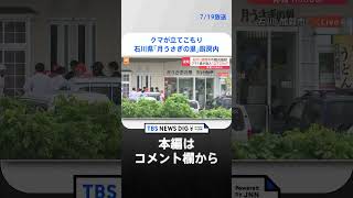 “月うさぎの里”厨房内にクマ立てこもる　体長1メートル60センチ　国道305号線が一部通行止め　石川・加賀市｜TBS NEWS DIG #shorts