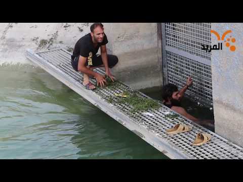 وكيل البلديات للمربد تعيين كادر جديد باجر يومي في مشروع الـR Zero 