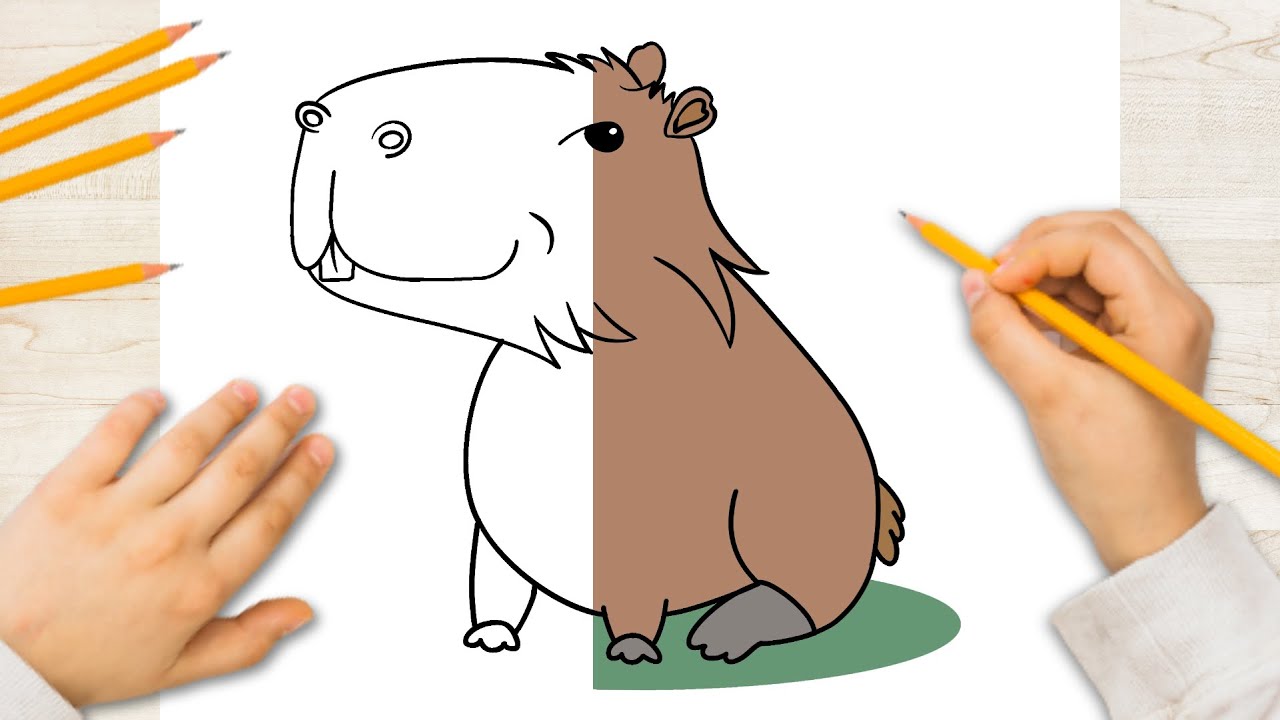 COMO DESENHAR A CAPIVARA FILÓ DO AGENOR 