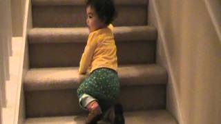 Julia crawls down the stairs backwards! 1/15/11