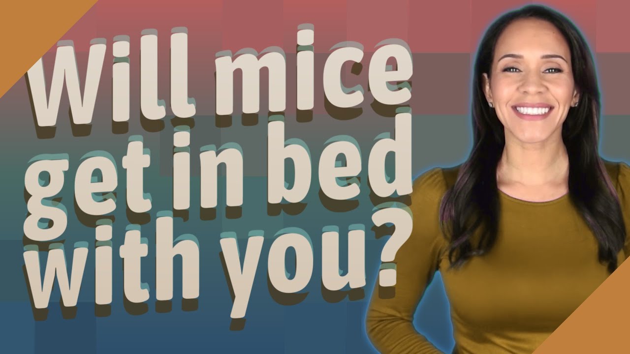 Will mice get in bed with you? YouTube