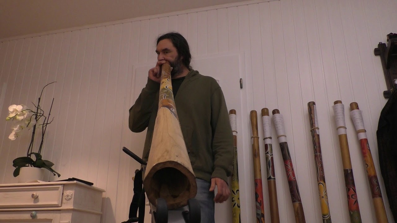 Eukalyptus Didgeridoo DEB8