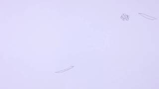 Falling Object Exercise