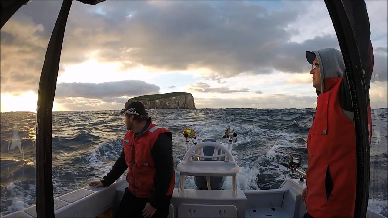 Bluefin Tuna Fishing. Tasman Peninsula, Tasmania, Australia YouTube