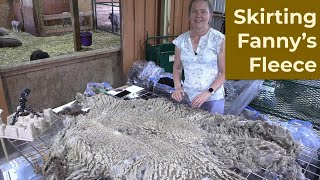 Skirting Fanny's Fawn Sheared Fleece for my 2024 Fleece Auction