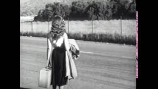 The Wild And The Wicked - B Movie