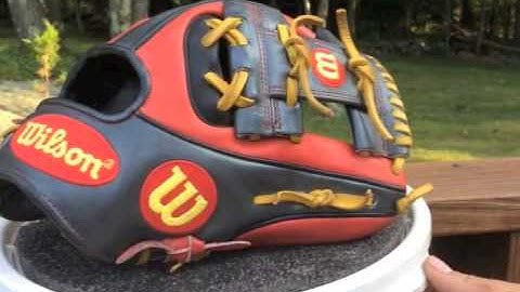 Brandon Phillips "DatDude GM" Wilson A2K Glove Review