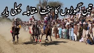 Horse Race in Pakistan Taunsa Sharif 3 Big Horses Competition Makwal Kalaan mela 2023