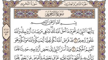 سورة التحريم - علي جابر