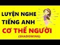 Luyện Nghe Tiếng Anh Cơ Thể Người - 100 English - Shadowing