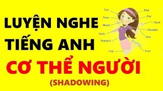 Luyện Nghe Tiếng Anh Cơ Thể Người - 100 English - Shadowing