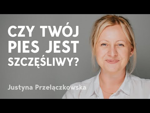 Czy dieta wegańska u psa to dobry pomysł? Jak karmić zdrowo opowiada Justyna Przełączkowska