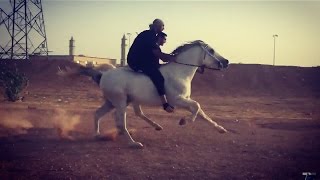 Bareback riding on Arabians with my brother / انا وأخوي بدون سرج على الحصانين حمداني ومحجل العزيزية