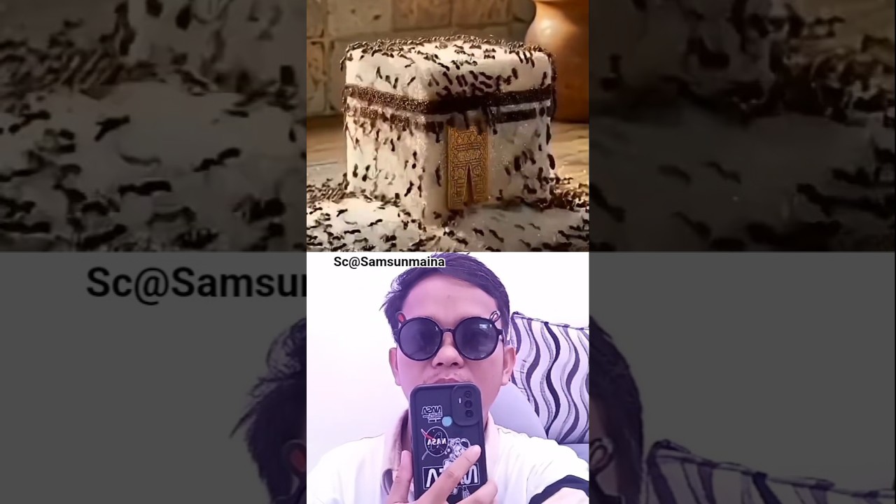 Pintainho Amarelinho 1 Atirei O Pau Ao Gato (Vdeo Oficial) - YouTube Auto PHP Script