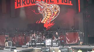 Cover Your Tracks- Throw the Fight