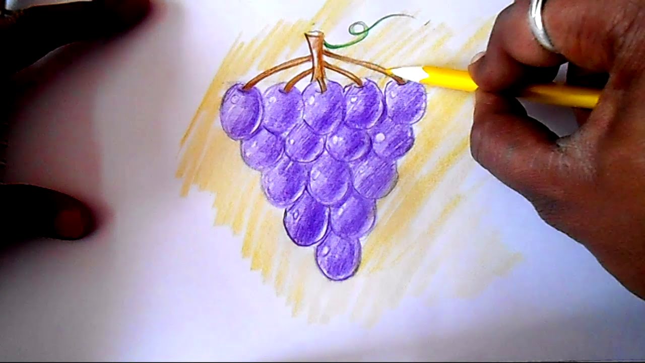 How To Draw Funny Grapes - Preschool - Art For Kids Hub 