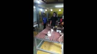 Electrical Level 1 & 2 Hazard Skills Training Centre